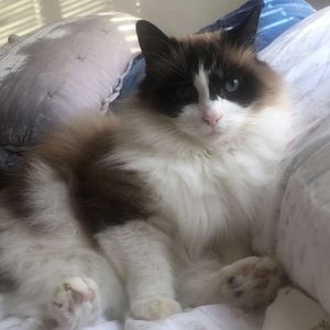 Meet your Posher, Deanna